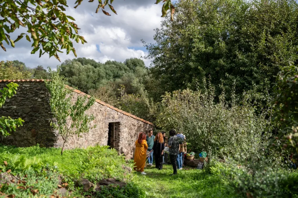 Private retreats in Sardinia