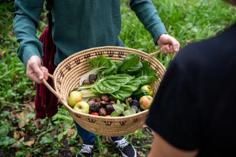 retreats what you receive The Great Wellbeing